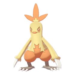combusken type|Combusken Pokédex .
